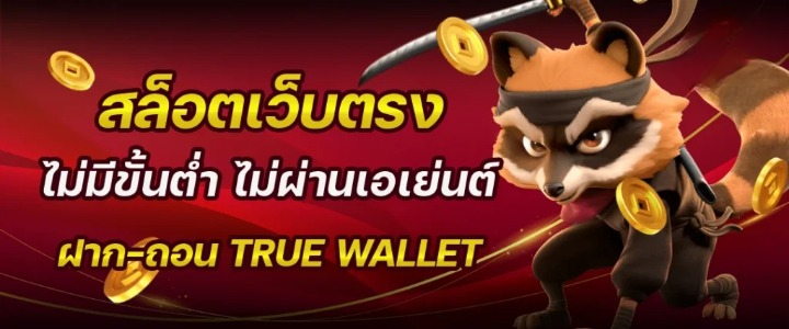 สล็อต ฝากถอน true wallet